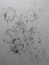 Tulips no. I