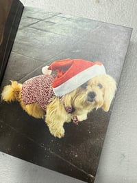 Image 4 of Back Again Back Again Pink Version