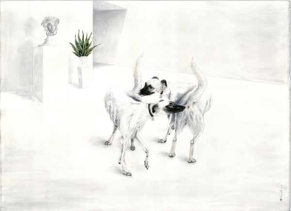 Image of N°5 (A2)