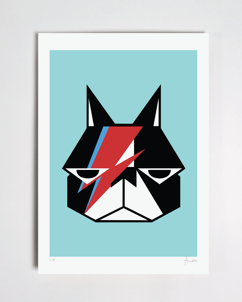 Image of *GARY BOWIE*