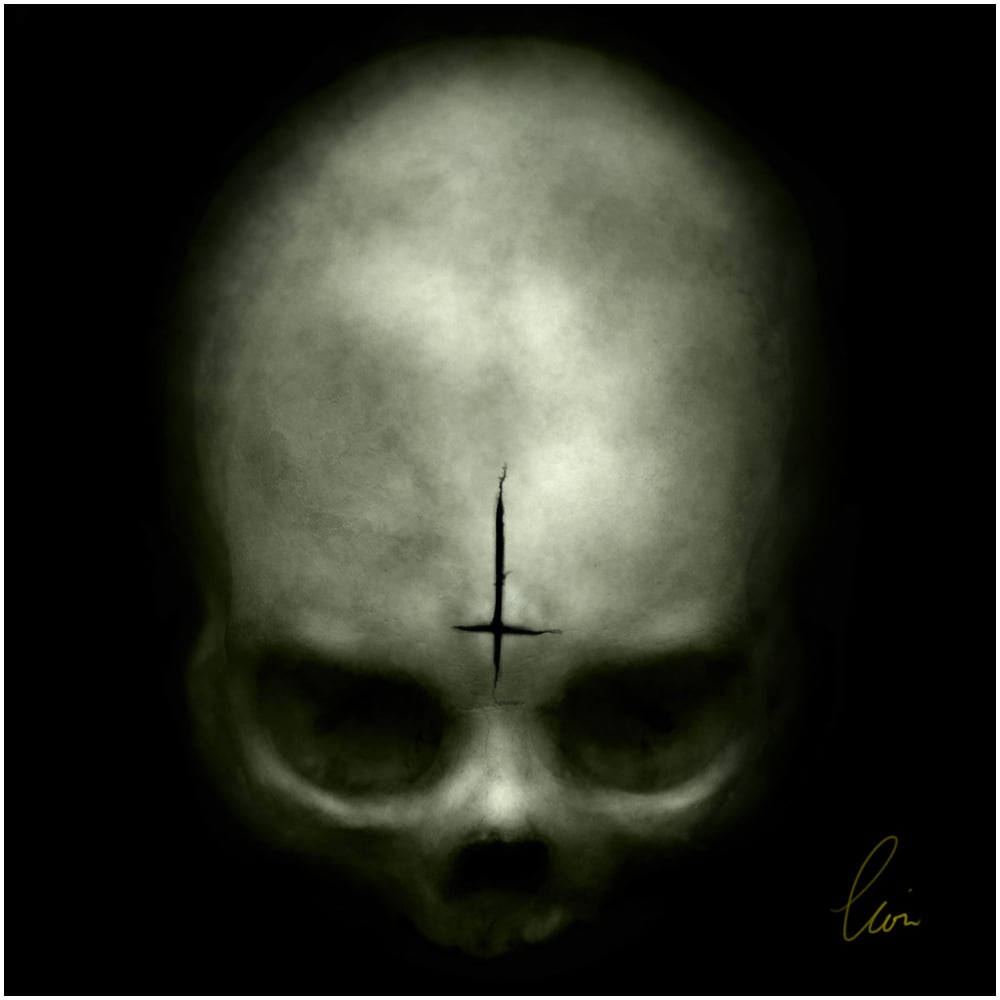 Image of Skull: Elevated View