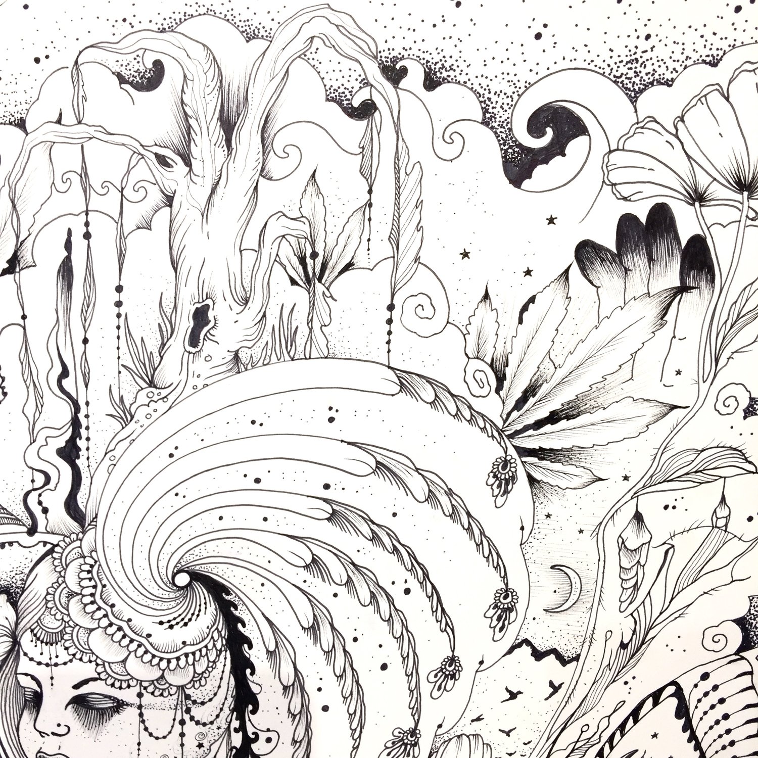 Image of "Lola" 14 x 17 Freestyle drawing