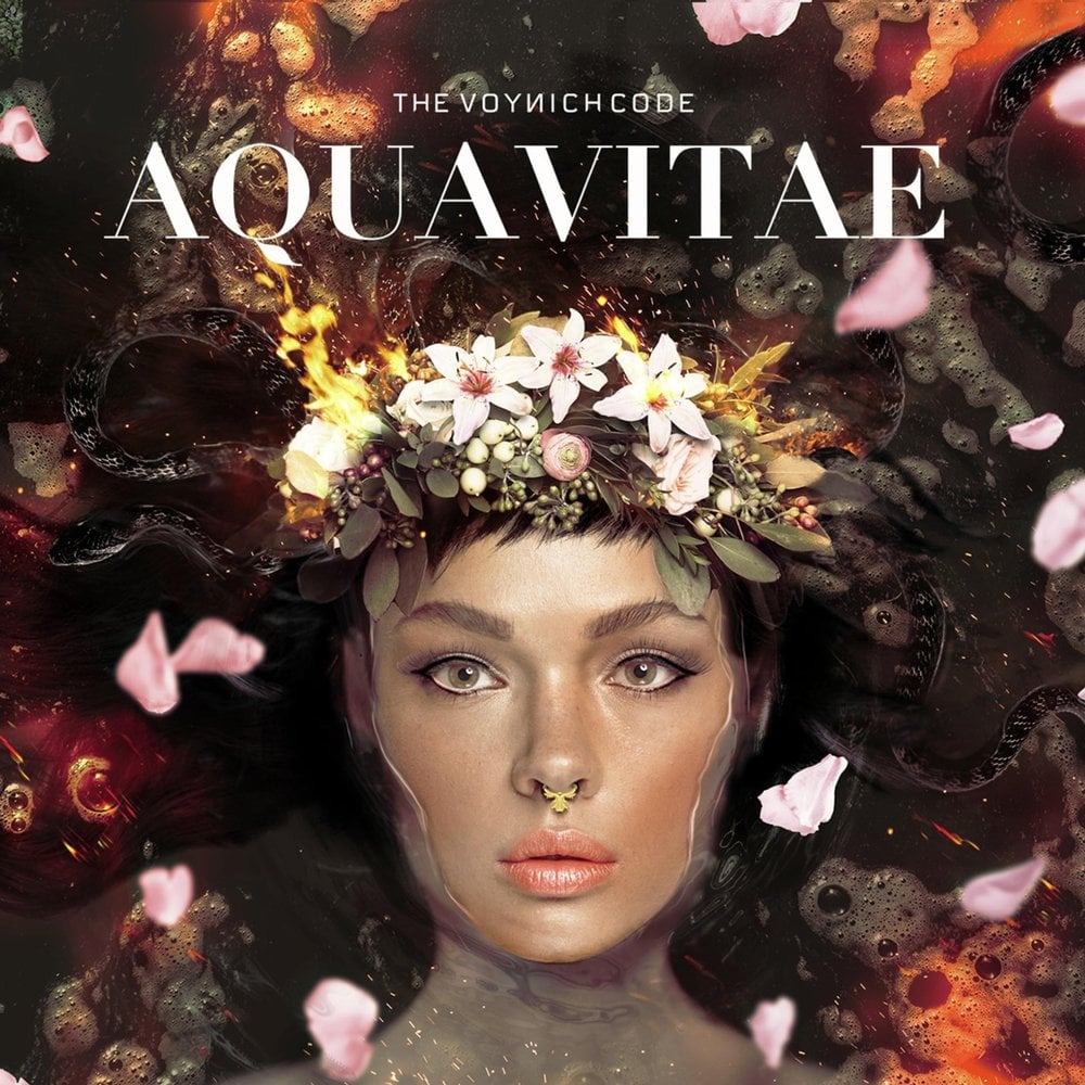 Image of "AQUA VITAE" THE COMPLETE GUITAR TRANSCRIPTION DOWNLOAD