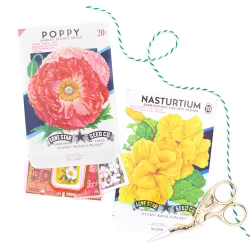 Image of Vintage Flower Seed Packets, No. 3 - Set of 8