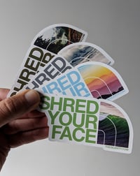 Image 1 of Shred Your Face (all 4)