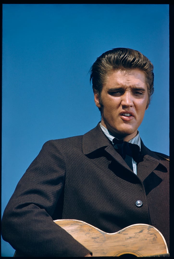 Image of Elvis LIVES!