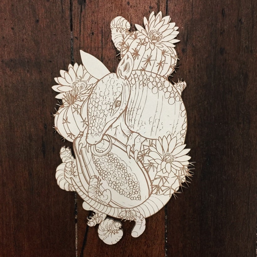 Image of Armadillo Dreams