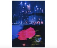 Image 1 of PICK ROSES AT NIGHT XIII