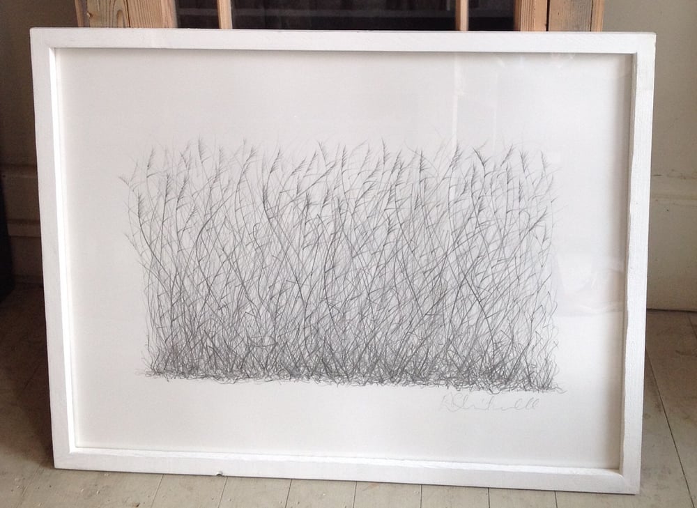 Image of Reeds drawings