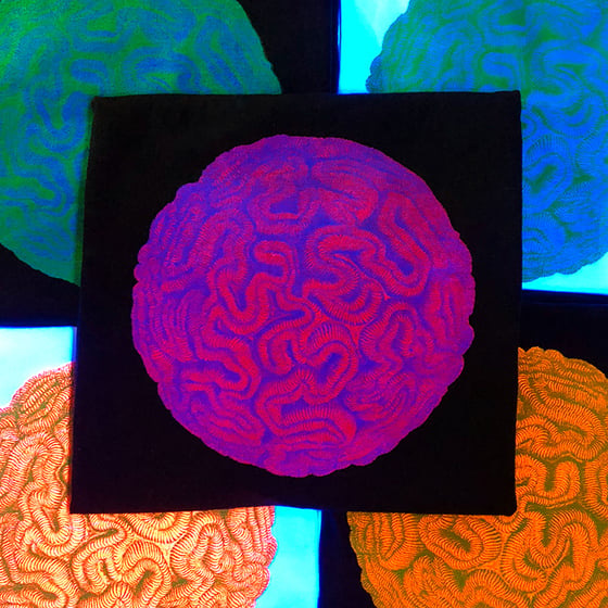 Image of Haeckel-Rauschenberg Fluorescent Brain Stone Tee