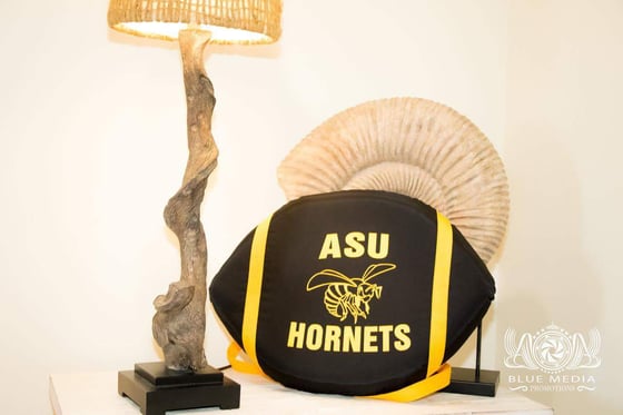 Image of Alabama State University cushion