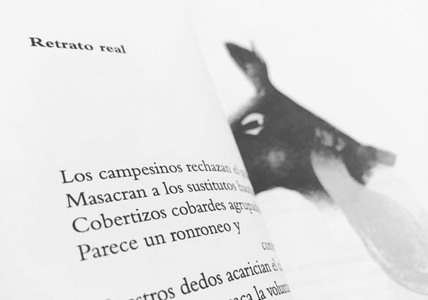 Image of El rosa en los flancos de las truchas / Joseph Wilson