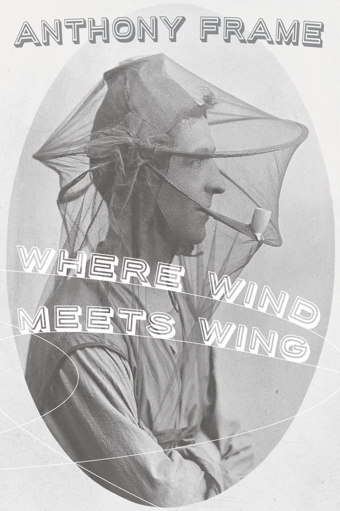 Image of Where Wind Meets Wing by Anthony Frame