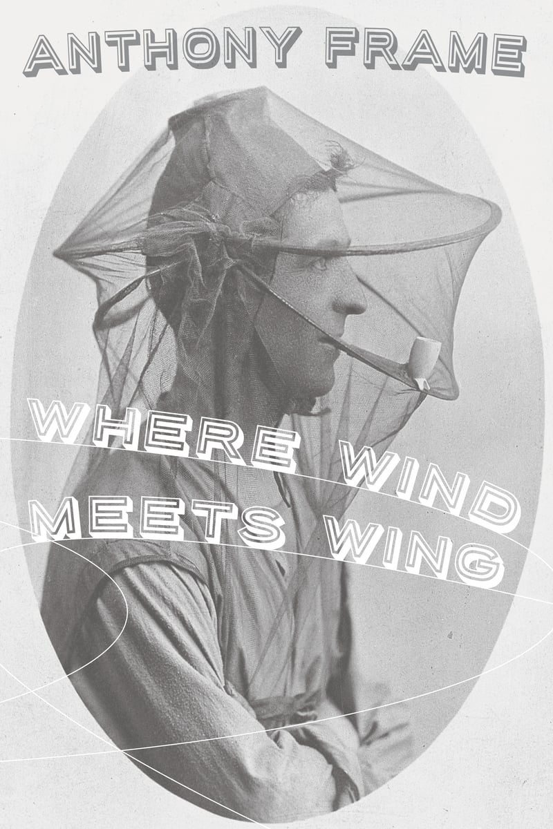 Where Wind Meets Wing by Anthony Frame | Sibling Rivalry Press
