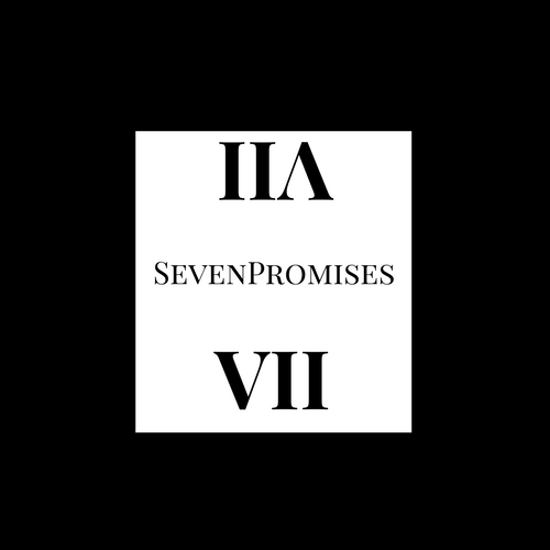 Image of VII Tee Shirt