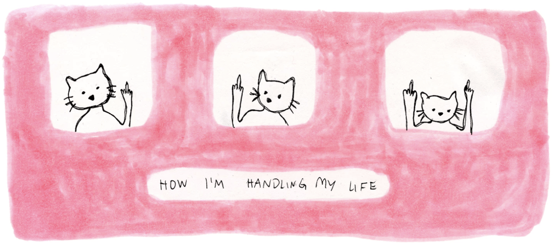 Image of middle finger cats [print pack]