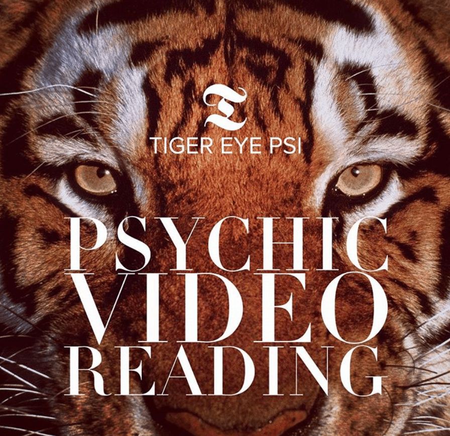 tiger eye video