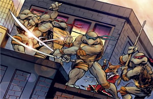 Image of TMNT: Rooftop
