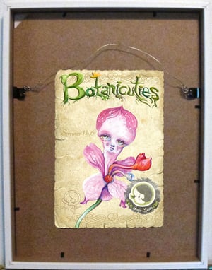Image of Botanicuties Specimen no.6