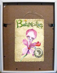 Image 3 of Botanicuties Specimen no.6