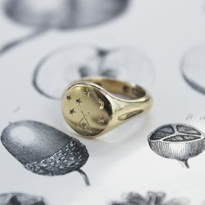 Image of 'Under the stars' Wilderness signet ring (in silver or gold)