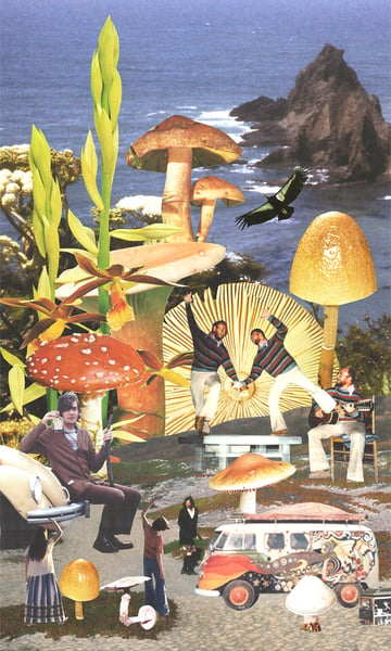 Image of The Family Acid Mushroom Beach Poster