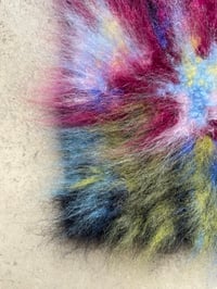 Image 3 of Kolbia elegans