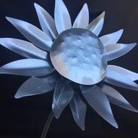 Image 2 of Forever Sunflower - with base