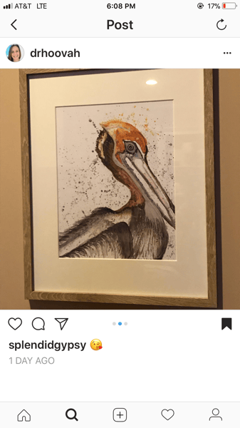 Image of Alabama Pelican