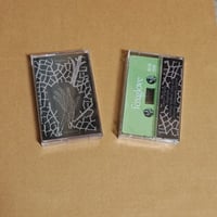 Foxglove - Labyrinthine 