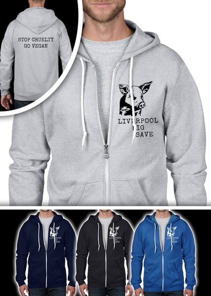 Image of LPS hoodie various colours (Unisex)
