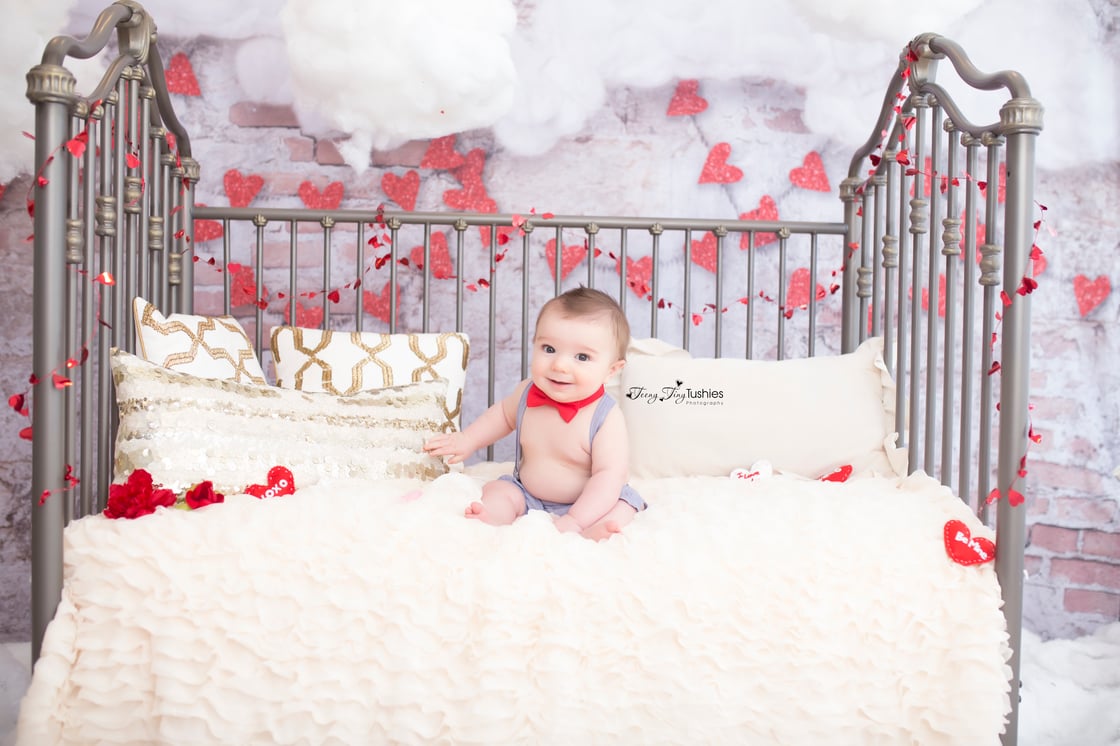 Image of VALENTINES DAY MINI SESSIONS- SATURDAY, JANUARY 29th