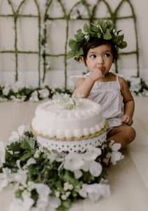 Image of One Year Cake Smash Mini/or alternative one year one setting