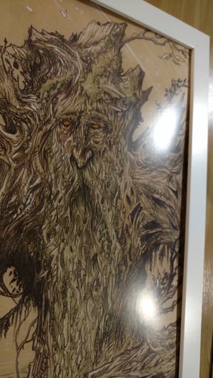 Image of Treebeard 