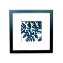 Framed Paper Cut Sweet Cicely