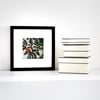 Framed Paper Cut Sweet Cicely