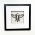 Framed Papercut Bee