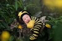 Image 1 of LITTLE {FUZZY BUZZY} BEE