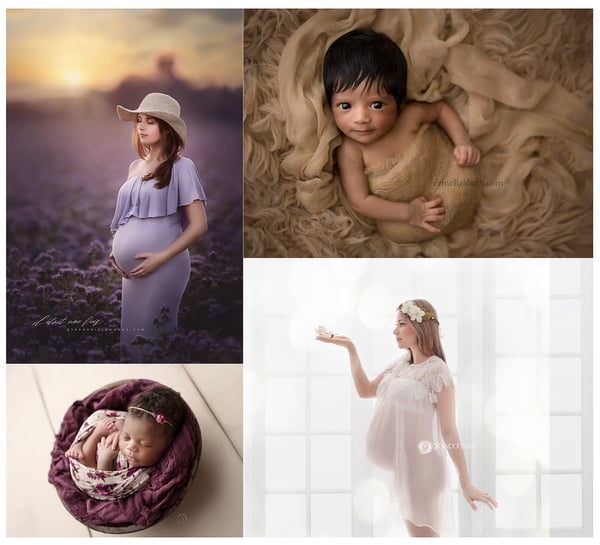 Image of The Ultimate Newborn and Maternity Workshop Tampa, Florida September 29-30 2018 Deposit Only