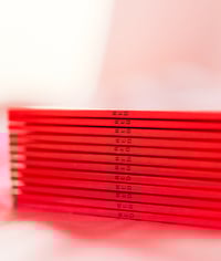 Image 5 of RED - ZINE + signed POLAROID