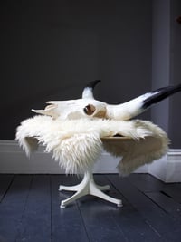Image 1 of Coffee Table by George Nelson
