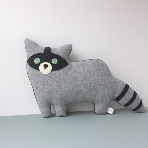 Image of the Raccoon