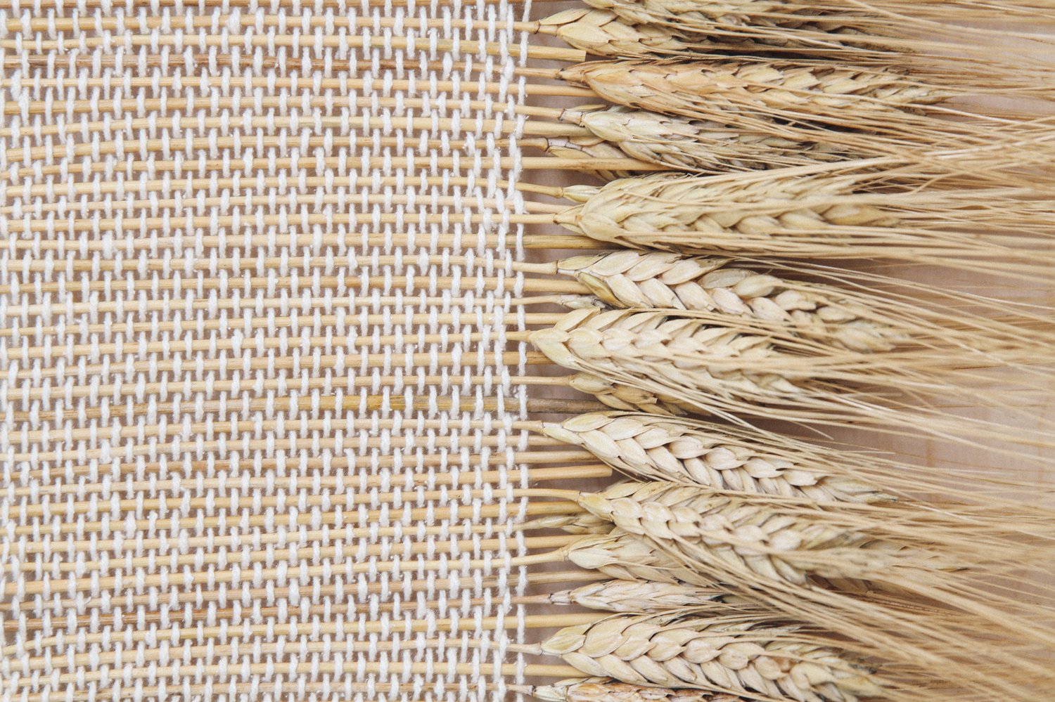 mrblueskye — Wheat Weaving