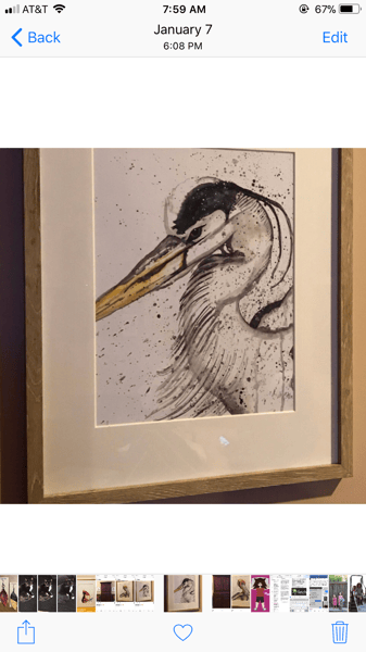 Image of Alabama Blue Heron