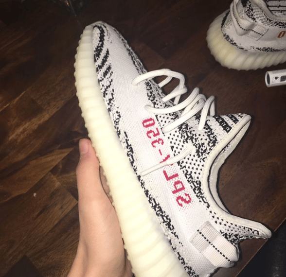 Image of Yeezy Zebra's