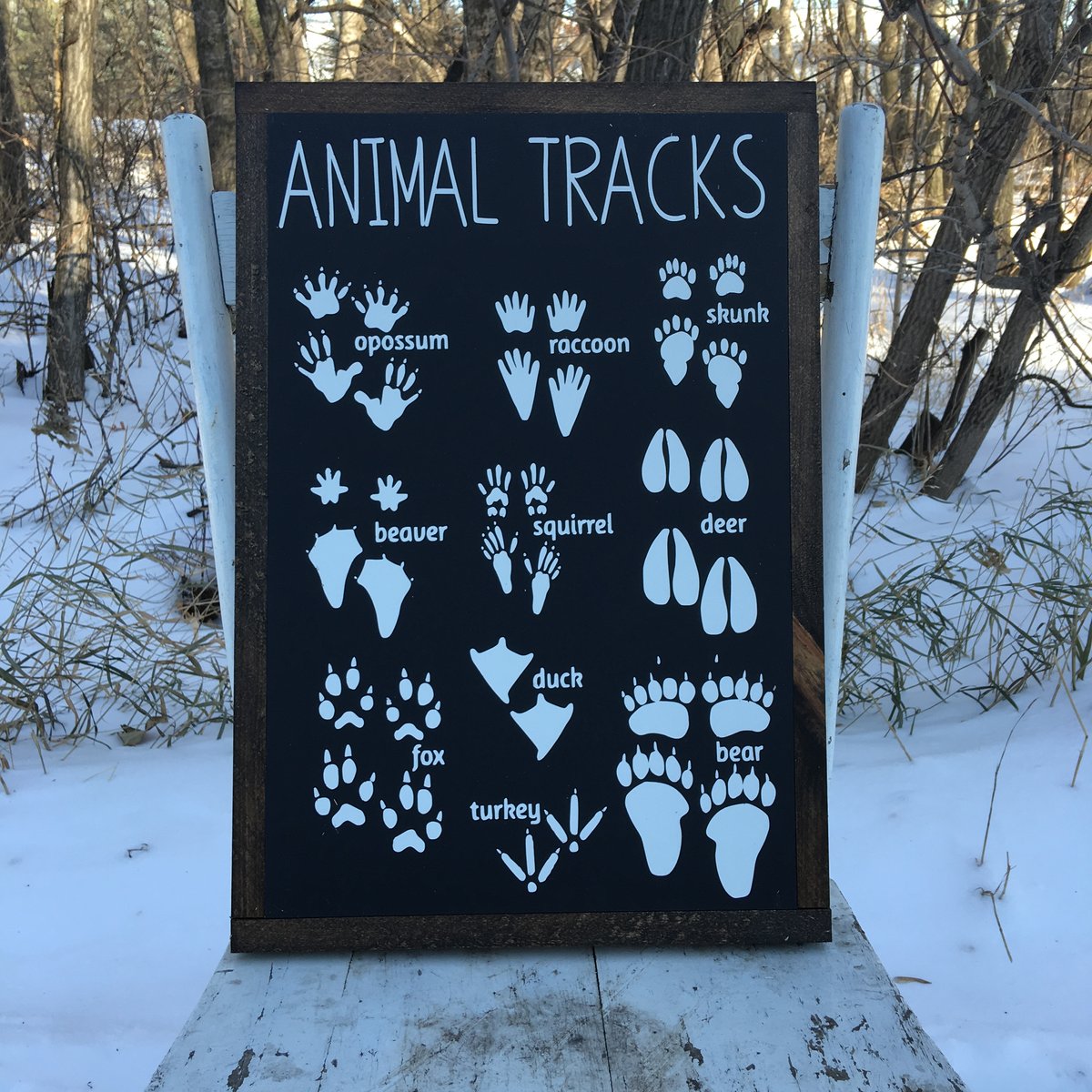 Image of Animal Tracks