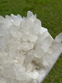 Image 21 of Quartz Points Cluster Statement Display Piece | Brazil #2911