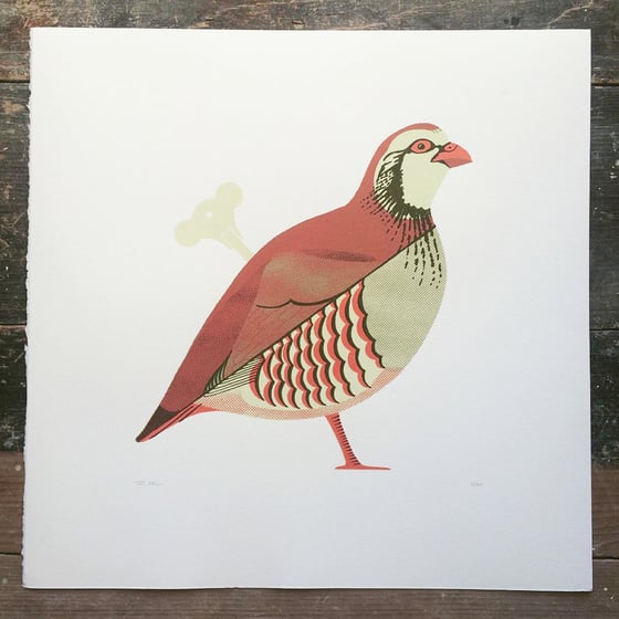 Image of Red Legged Partridge