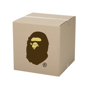 Bape Mystery Box Copnation Shop