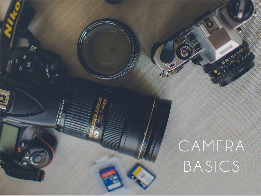 Image of Camera Basics & Photography 101 for Parents